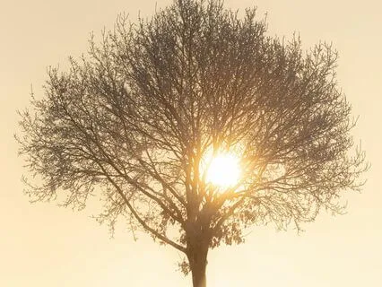 Release Stored Negative Energy