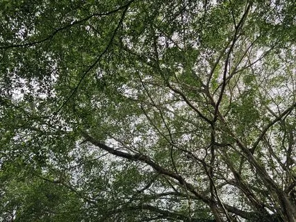 Release Stored Stress - Somatic Body Scan To Calm Overwhelm