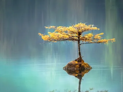 Release Stress And Anxiety: A Calming Guided Practice