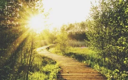 Release Stress & Anxiety - Connect To Your Wise Higher Self