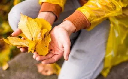 Release Stress & Anxiety With An Autumn Visualization