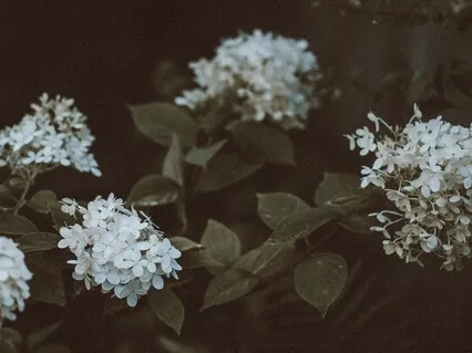 Release Stress And Create Relaxation