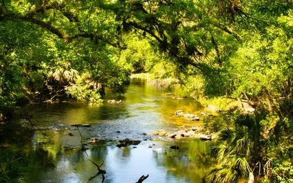 Release Stress And Lean Into Focus