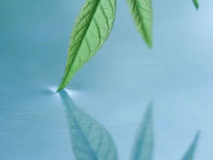 Release Stress And Open To Self Love And Possibility