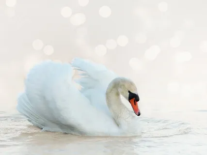 Release Stress & Tension: Through Sound & Frequency