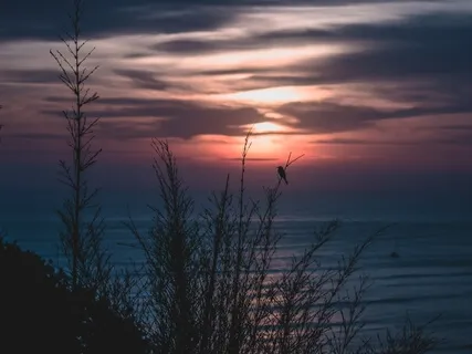 Release Stress Of The Day & Relax Into Sleep