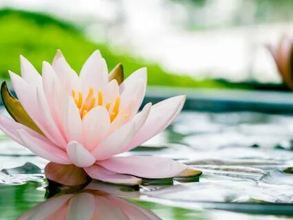 Release Stress & Overwhelm Meditation