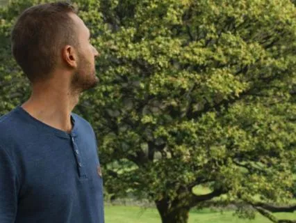 Release Stress, Pressures & Obligations — A Tree Meditation