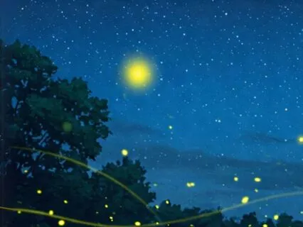 Release Stress & Remember Your Magic