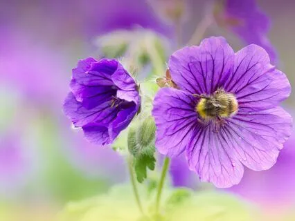 Release Stress & Restore Inner Balance