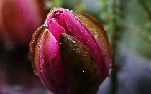 Release Stress - Short Guided Meditation 4 The Day