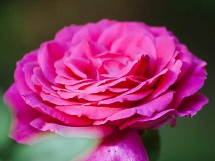 Release Stuck Energy and Find Clarity