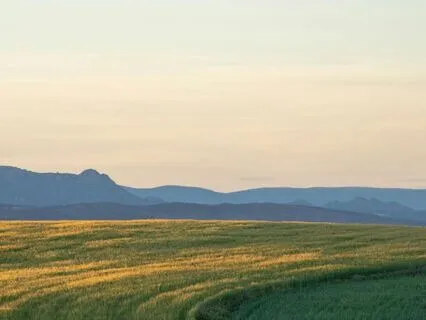 Release Tension, Find Calm