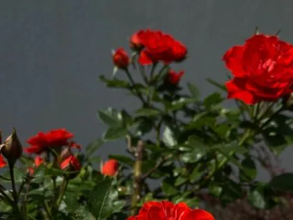 Release Tension from the Body