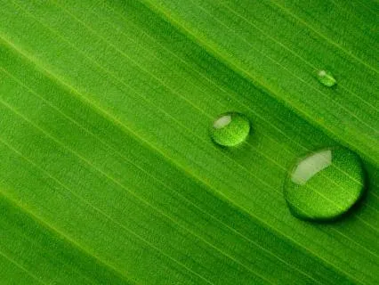 Release Tension - Short Version