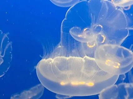 Release Tension With The Breath