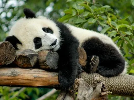 Release The Backpack Of Stories