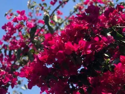 Release The Beliefs Keeping You From Your Best Self