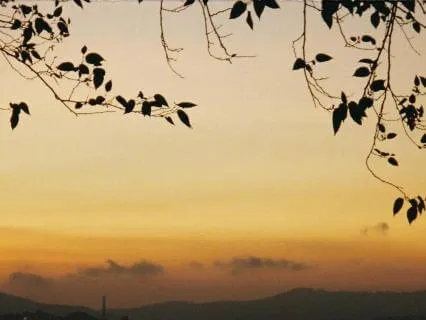 Release The Day: A Meditation For Restful Sleep