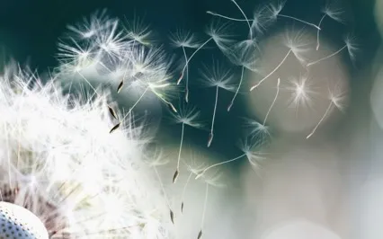 Release The Day With Clearing Breath