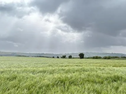 Release The Day With Kindness