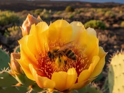 Release The Fear Of Failure