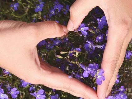 Release The Freeze - A Gentle Nervous System Regulation