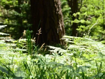 Release The Grip Of Stress And Anxiety: A Guided Yoga Nidra