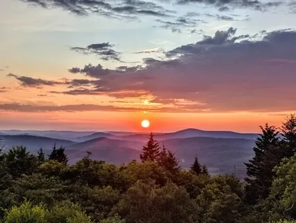 Release The Negatives