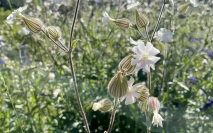 Release The Past And Welcome The New!