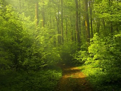 Release The People Pleaser: A Solar Plexus Healing