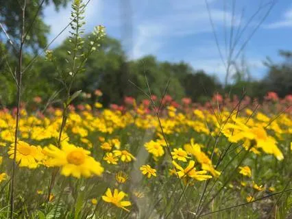 Release The Pressure - You Are Not Behind