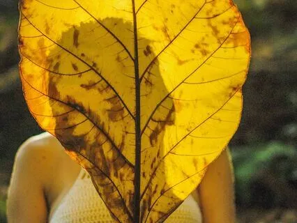 Release The Rush Of The Ego (And Trust Your Intuition)