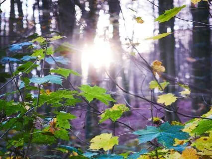 Release The Story: EFT Tapping For Abundance Day 2
