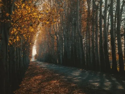 Release The Stress And Move Fully Into Your Power Meditation