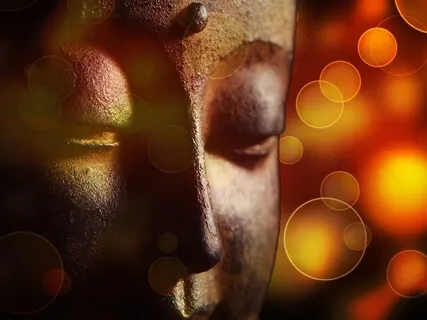 Release The Stress Of The Day Yoga Nidra