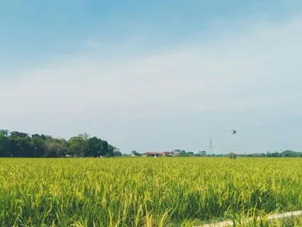 Release The Tension: Body Scan