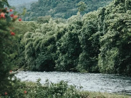 Release The Victim Within