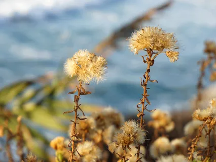 Release The Weight Of Worries