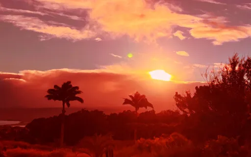 Release to find Peace