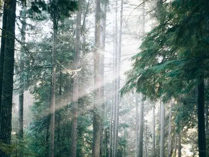 Release To Make Space | 17-Min