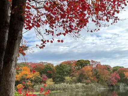 Release To Rise: Clearing What No Longer Serves You