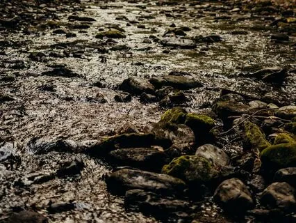 Release Trauma - Guided No Music