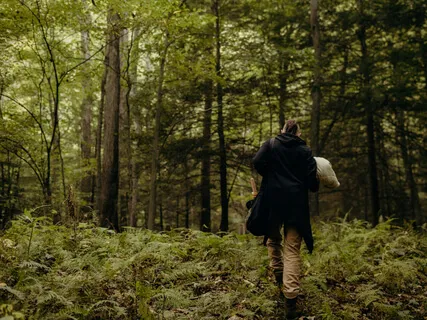 Release Trauma Meditation