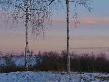 Release Trauma Signals - Bitterness