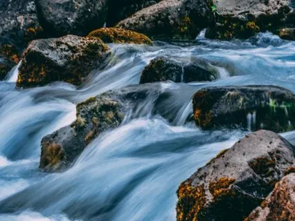 Release Trauma Signals - Blaming