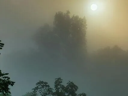 Release Trauma Signals - Confusion