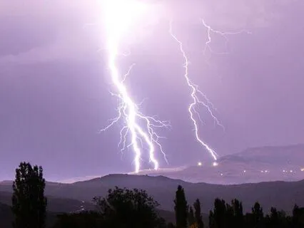 Release Trauma Signals - Disgust