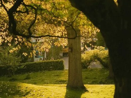 Release Trauma Signals - Feeling Lost