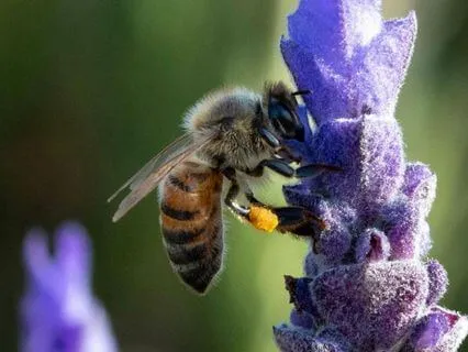 Release Trauma Signals - Final Wrap Up A Year Of Healing